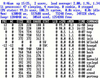 Two processors &lsquo;top&rsquo; output